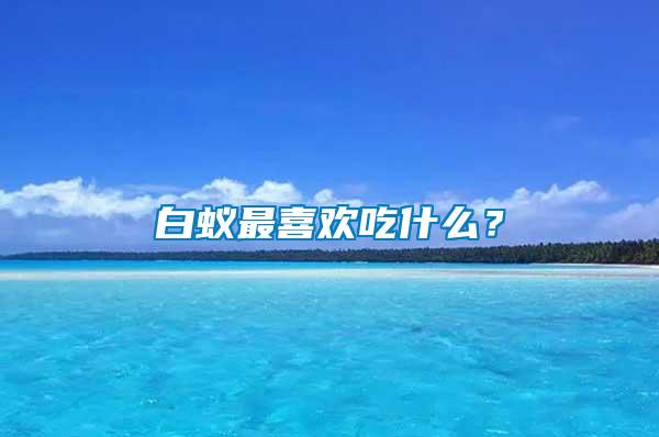 白蟻最喜歡吃什么？
