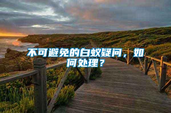 不可避免的白蟻疑問，如何處理？