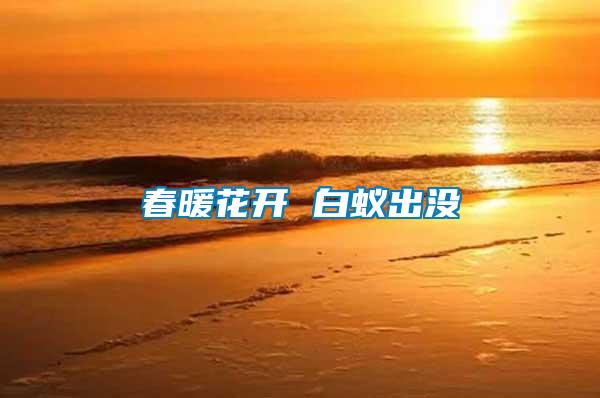 春暖花開(kāi) 白蟻出沒(méi)