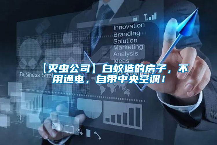 【滅蟲公司】白蟻造的房子，不用通電，自帶中央空調(diào)！