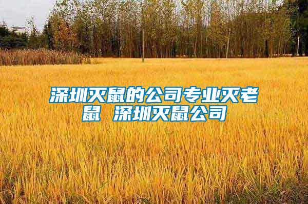 深圳滅鼠的公司專(zhuān)業(yè)滅老鼠 深圳滅鼠公司