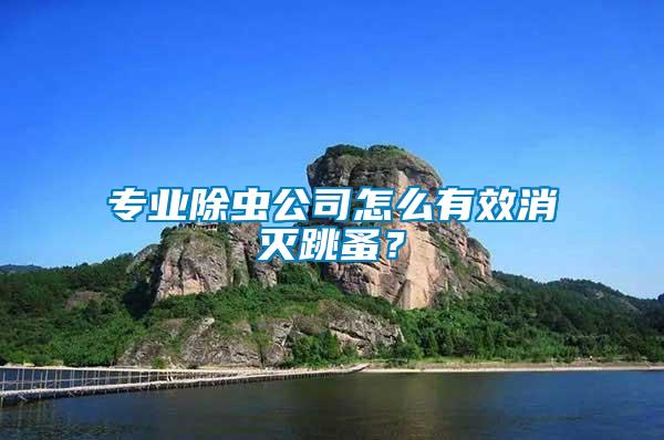 專業(yè)除蟲公司怎么有效消滅跳蚤？
