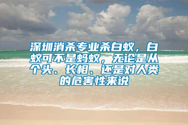 深圳消殺專業(yè)殺白蟻，白蟻可不是螞蟻，無論是從個(gè)頭、長相、還是對(duì)人類的危害性來說