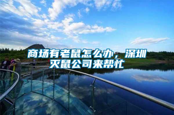 商場有老鼠怎么辦，深圳滅鼠公司來幫忙