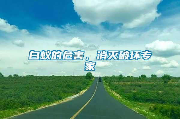 白蟻的危害，消滅破壞專家