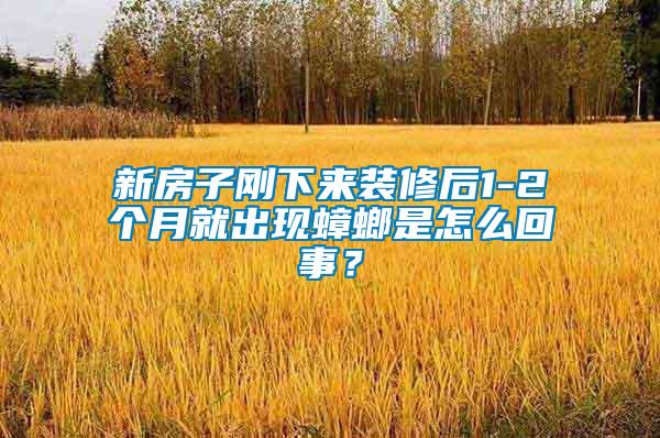 新房子剛下來裝修后1-2個(gè)月就出現(xiàn)蟑螂是怎么回事？