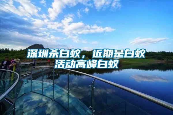 深圳殺白蟻，近期是白蟻活動(dòng)高峰白蟻
