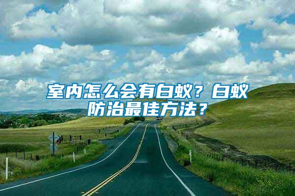 室內(nèi)怎么會(huì)有白蟻？白蟻防治最佳方法？