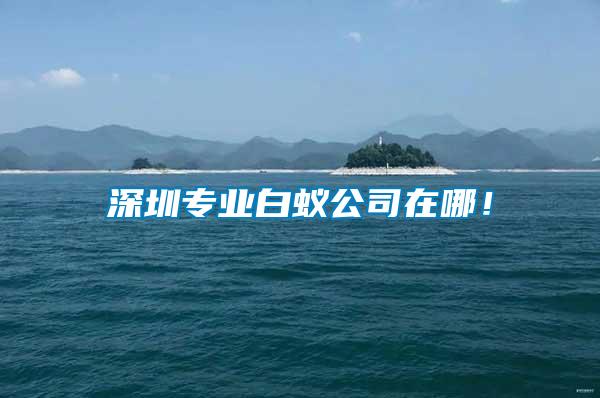 深圳專業(yè)白蟻公司在哪！