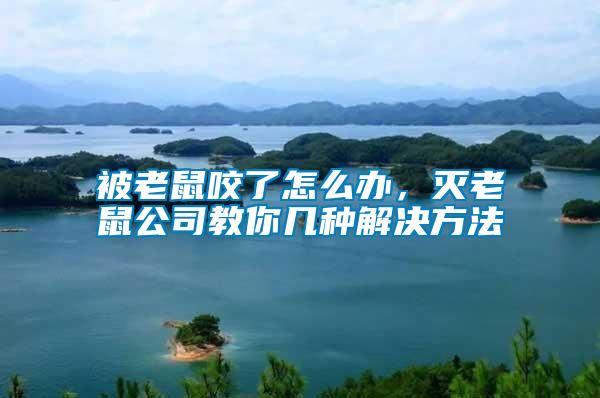 被老鼠咬了怎么辦，滅老鼠公司教你幾種解決方法
