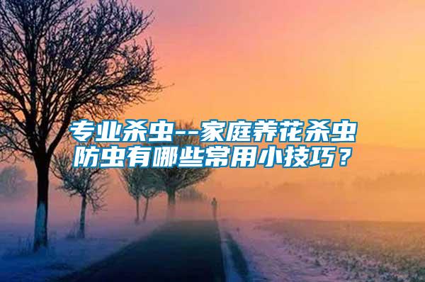 專業(yè)殺蟲--家庭養(yǎng)花殺蟲防蟲有哪些常用小技巧？