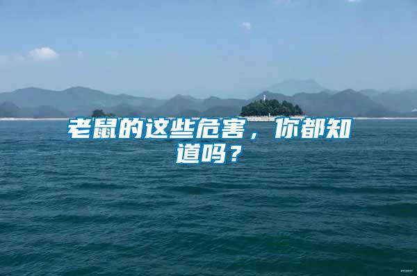 老鼠的這些危害，你都知道嗎？