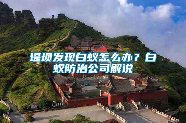 堤壩發(fā)現(xiàn)白蟻怎么辦？白蟻防治公司解說(shuō)