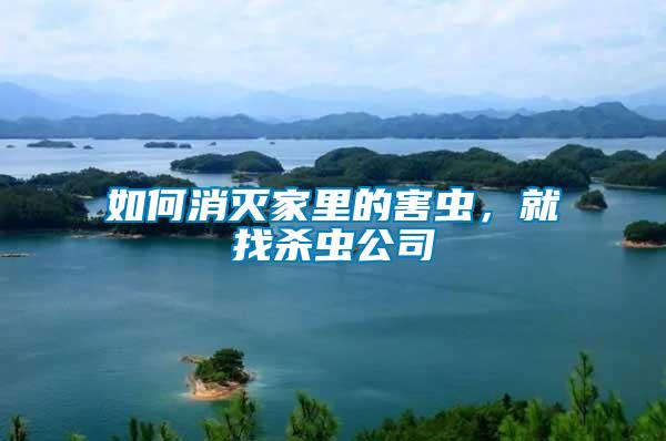 如何消滅家里的害蟲(chóng)，就找殺蟲(chóng)公司