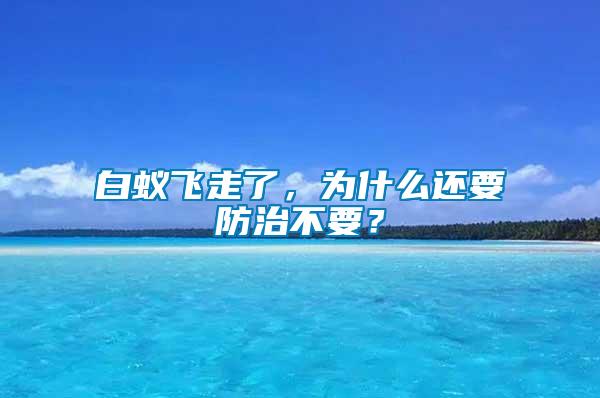 白蟻飛走了，為什么還要防治不要？