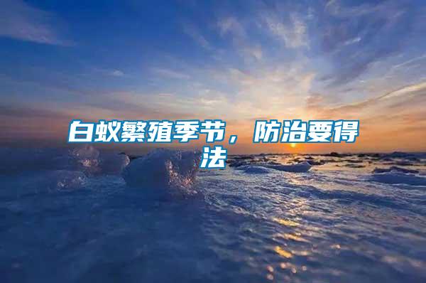 白蟻繁殖季節(jié)，防治要得法