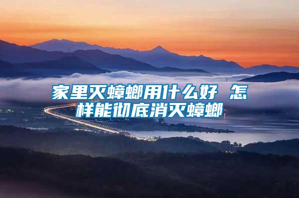 家里滅蟑螂用什么好 怎樣能徹底消滅蟑螂