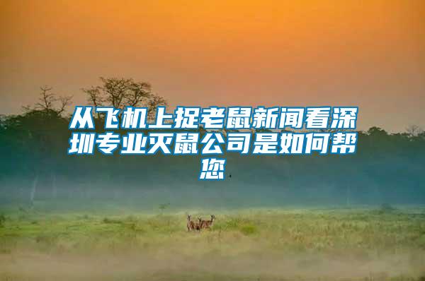 從飛機(jī)上捉老鼠新聞看深圳專業(yè)滅鼠公司是如何幫您