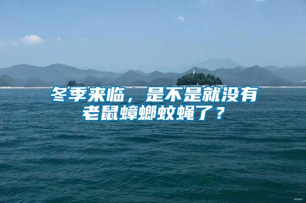 冬季來(lái)臨，是不是就沒(méi)有老鼠蟑螂蚊蠅了？