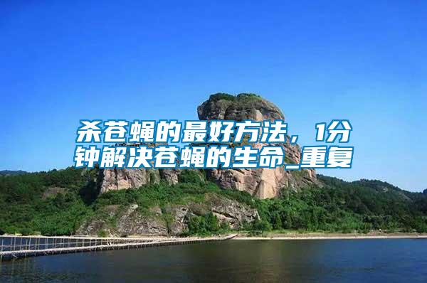殺蒼蠅的最好方法，1分鐘解決蒼蠅的生命_重復(fù)