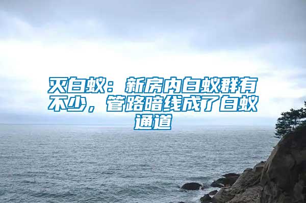 滅白蟻：新房?jī)?nèi)白蟻群有不少，管路暗線成了白蟻通道