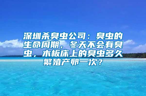 深圳殺臭蟲公司：臭蟲的生命周期，冬天不會有臭蟲，木板床上的臭蟲多久繁殖產卵一次？