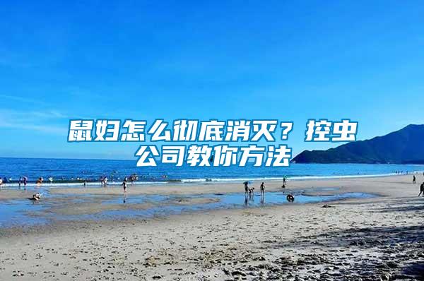 鼠婦怎么徹底消滅？控蟲公司教你方法