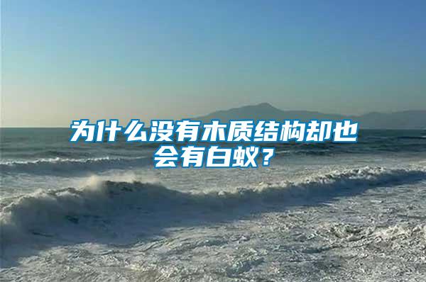 為什么沒有木質(zhì)結(jié)構(gòu)卻也會有白蟻？