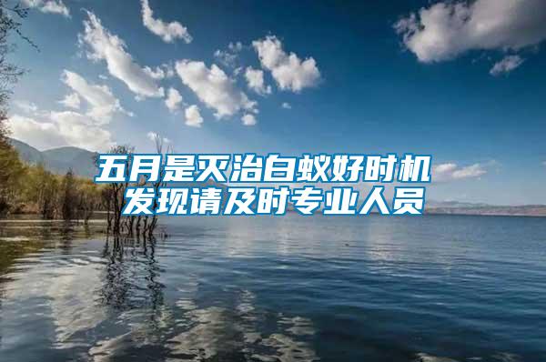 五月是滅治白蟻好時(shí)機(jī) 發(fā)現(xiàn)請(qǐng)及時(shí)專(zhuān)業(yè)人員