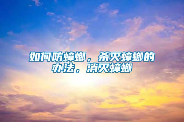 如何防蟑螂，殺滅蟑螂的辦法，消滅蟑螂