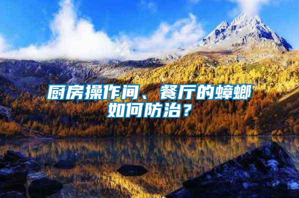 廚房操作間、餐廳的蟑螂如何防治？