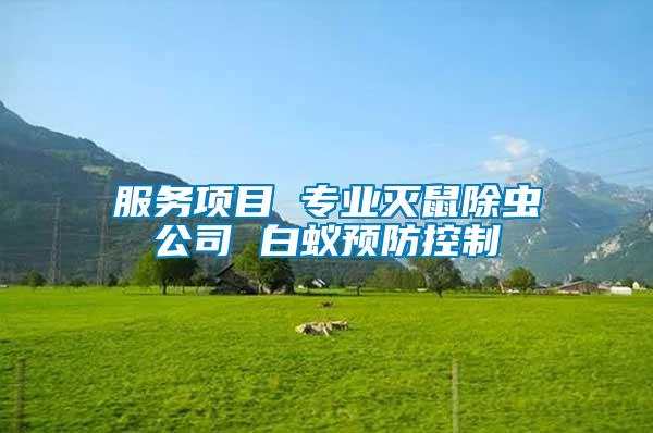 服務(wù)項(xiàng)目 專業(yè)滅鼠除蟲公司 白蟻預(yù)防控制