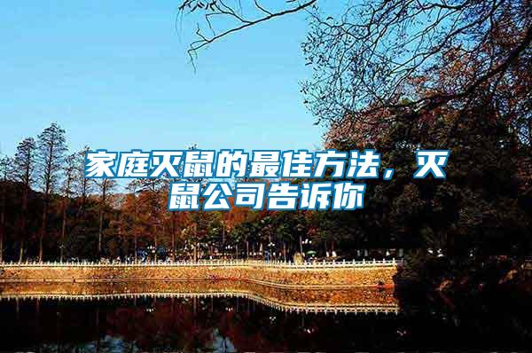 家庭滅鼠的最佳方法，滅鼠公司告訴你
