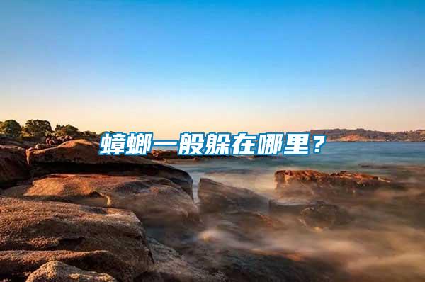 蟑螂一般躲在哪里？