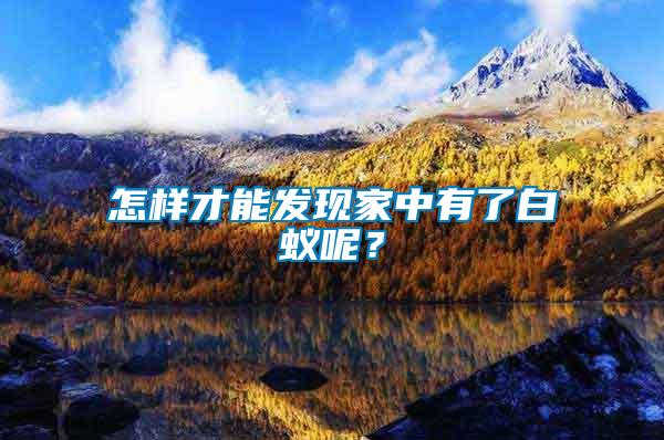 怎樣才能發(fā)現(xiàn)家中有了白蟻呢？
