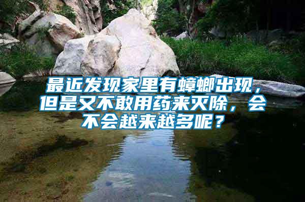 最近發(fā)現家里有蟑螂出現，但是又不敢用藥來滅除，會不會越來越多呢？