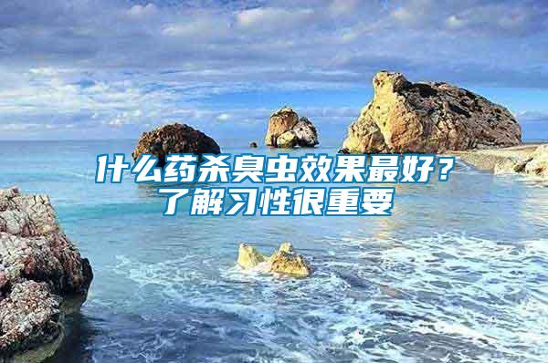 什么藥殺臭蟲效果最好？了解習(xí)性很重要