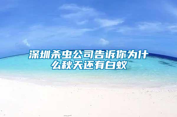 深圳殺蟲(chóng)公司告訴你為什么秋天還有白蟻