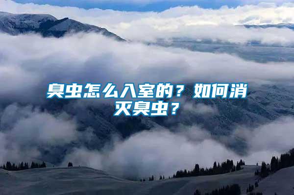 臭蟲怎么入室的？如何消滅臭蟲？