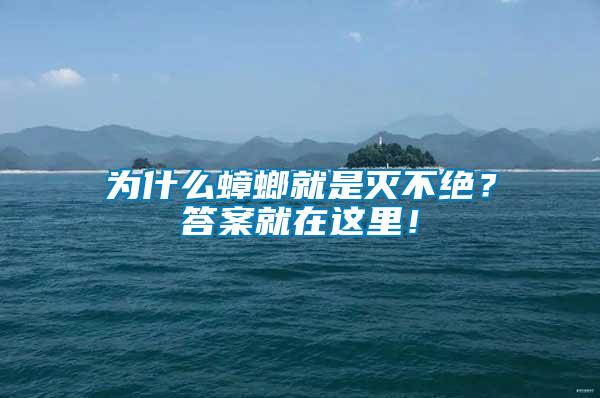 為什么蟑螂就是滅不絕？答案就在這里！