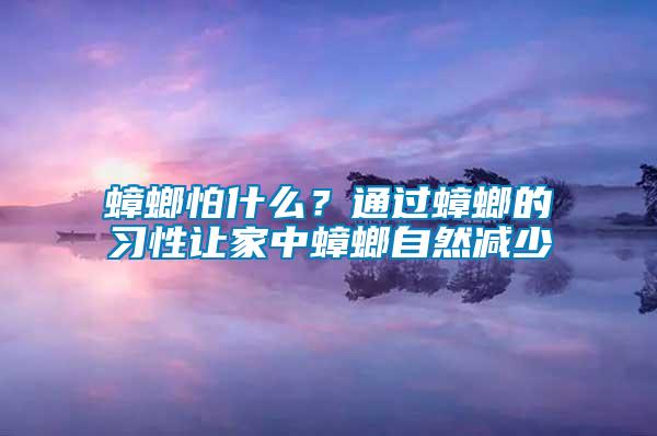 蟑螂怕什么？通過蟑螂的習性讓家中蟑螂自然減少