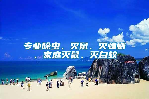 專業(yè)除蟲、滅鼠、滅蟑螂、家庭滅鼠、滅白蟻