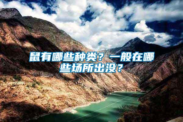 鼠有哪些種類？一般在哪些場所出沒？