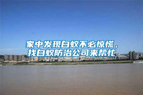 家中發(fā)現(xiàn)白蟻不必驚慌，找白蟻防治公司來幫忙