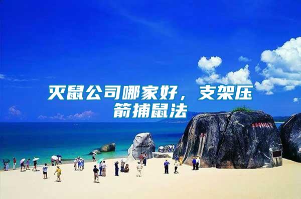 滅鼠公司哪家好，支架壓箭捕鼠法