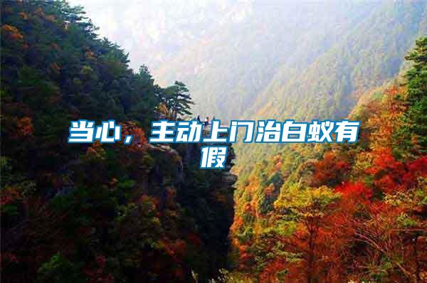 當(dāng)心，主動(dòng)上門治白蟻有假