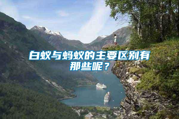 白蟻與螞蟻的主要區(qū)別有那些呢？