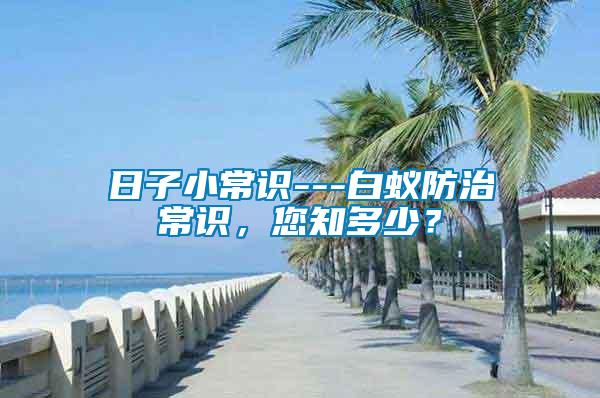 日子小常識---白蟻防治常識，您知多少？