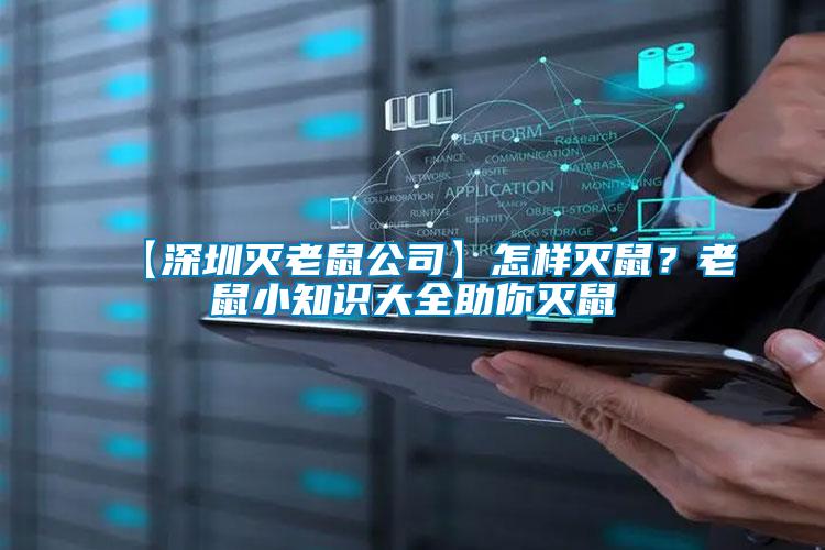 【深圳滅老鼠公司】怎樣滅鼠？老鼠小知識大全助你滅鼠