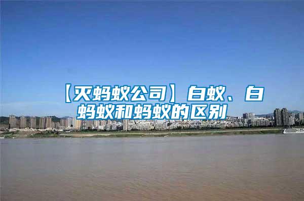 【滅螞蟻公司】白蟻、白螞蟻和螞蟻的區(qū)別